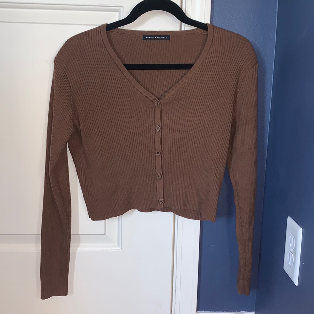cropped brown brandy melville sweater